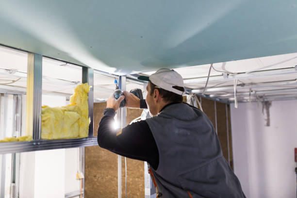 Best Specialized Insulation Services in Suisun City, CA